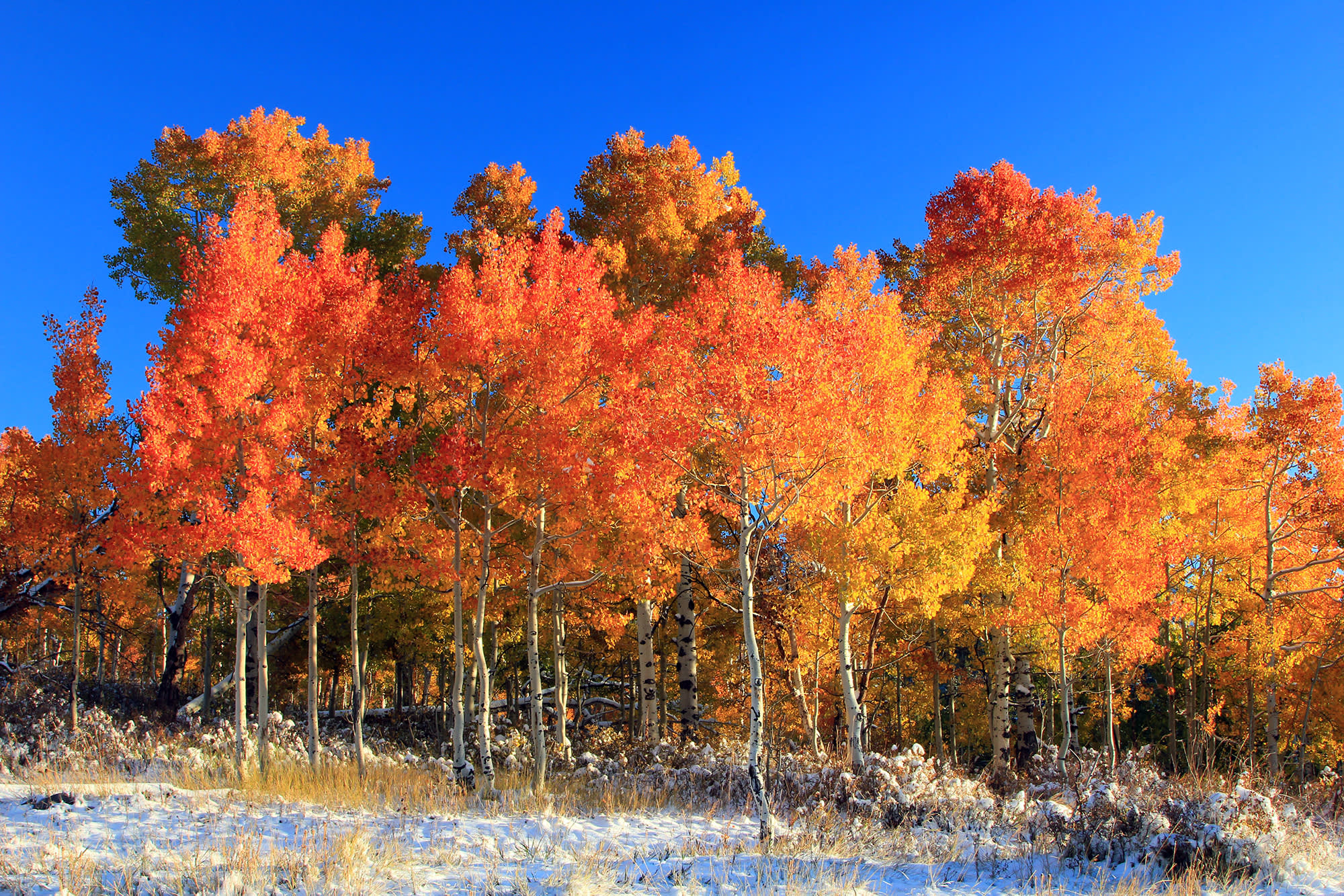 Fall Staycation Itineraries – Salt Lake City or Park City